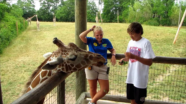 Nicholas Feeds Zuri the Giraffe at Fort Wayne Children's Zoo