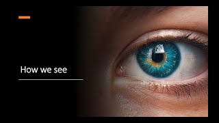 2.4. Understanding People - How we see (User Experience Design)