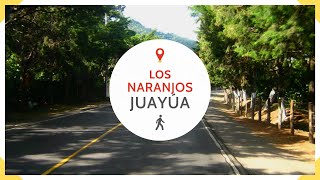 LOS NARANJOS en JUAYUA es una zona fresca y turística en SONSONATE - EL SALVADOR 2022