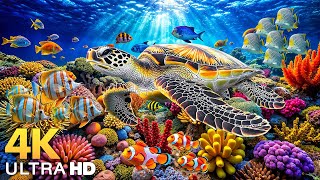 Download Lagu Under Red Sea 4K – Stunning Coral Reef Fish, Colorful Marine Life \u0026 Relaxing Ocean Sounds #8 MP3