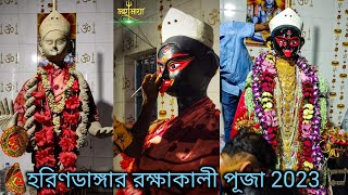 Harindanga raksha kali puja 2023/raksha kali puja/Harindanga raksha kali mata Murti meking process