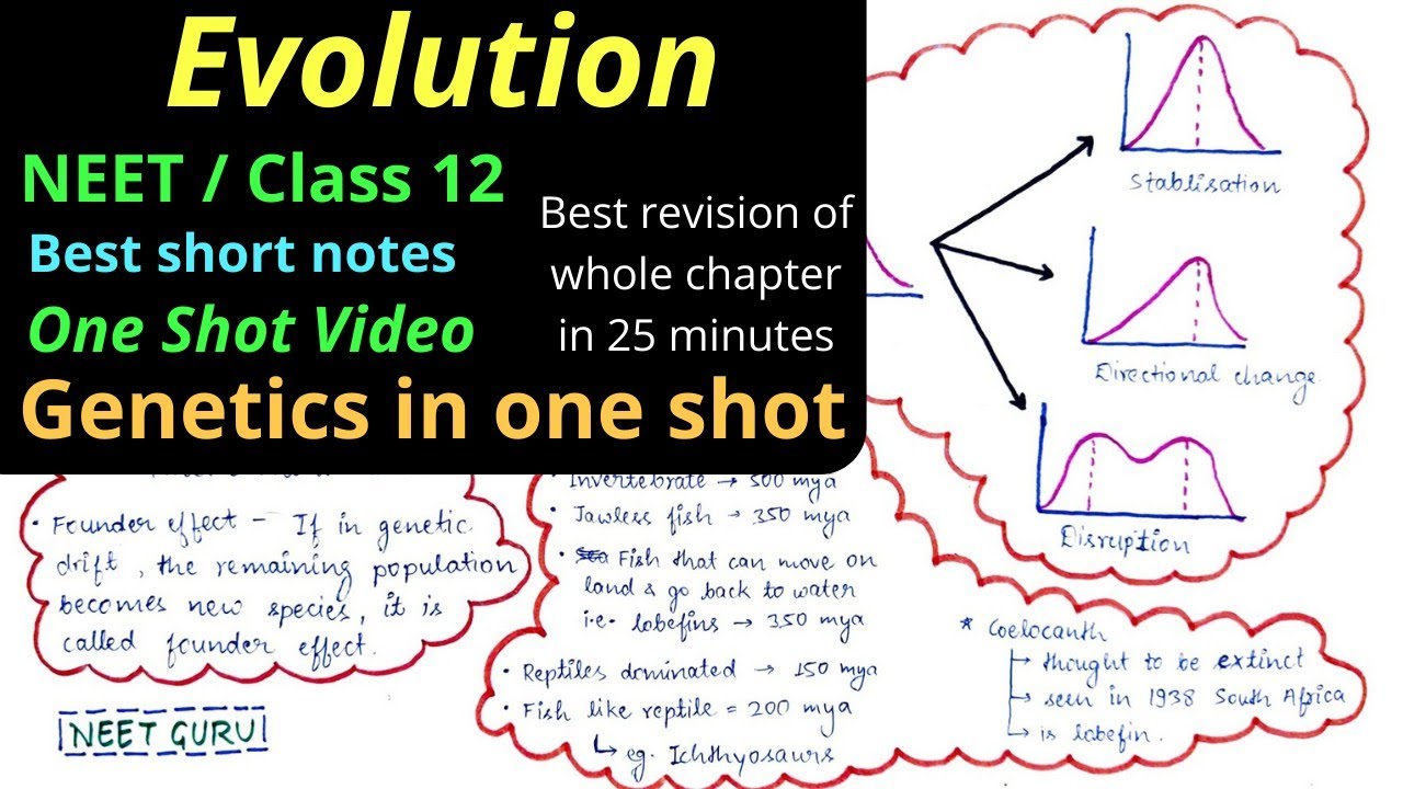 Evolution || NEET Class 12 || Mind map Best summary notes || neet 2022 ...