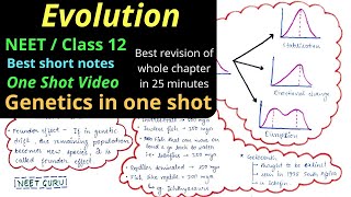 Evolution || NEET Class 12 || Mind map Best summary notes || neet 2022 #neet #neet2022