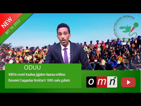 Download OMN   ODUU IJOO  BITOOTESSA 16 ,2022