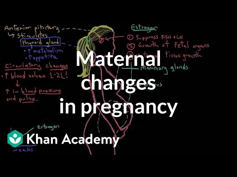 Maternal changes in pregnancy | Reproductive system physiology | NCLEX-RN | Khan Academy