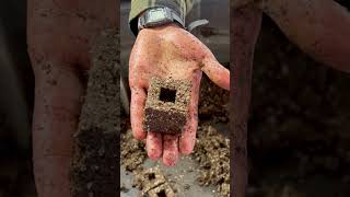 Using a Soil Blocker