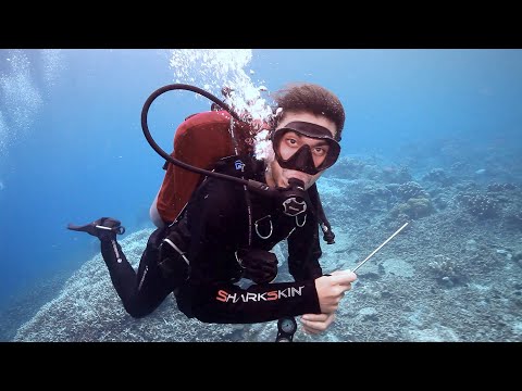 Video: 8 Tempat Terbaik untuk Menyelam Scuba di Sabah, Kalimantan