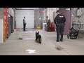 Cogeco TV spends some time with the Peterborough K9 Unit Cogeco TV spends some time with the Peterborough K9 Unit