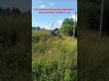 кикимора 35 🇷🇺 #вторая передача#вездеход #рофл #лесное