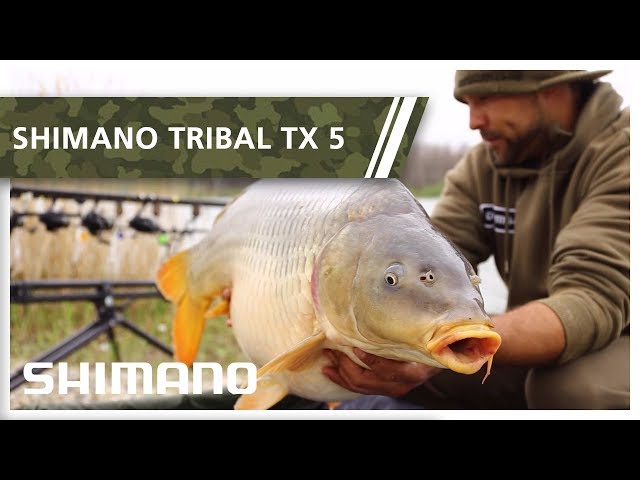 Shimano Tribal TX 5 - Cristian Mihalcea 
