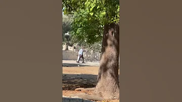 كل عام وأمة محمد بألف خير بمناسبة مولد أشرف الخلق محمد صلى الله علية وسلم 