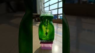 Amazing Science Experiment #shorts
