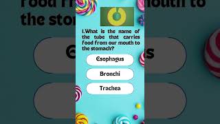 Interactive Kids Quiz: Can You Beat the Challenge 22 #quiz #quiztime #kids #education #teacher