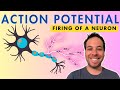 Action potential  firing of a neuron  depolarization