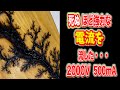 【死ぬ】ほど強力な電流を流した・・・　Wood burning with 2000 volts of electricity! (Lichtenberg Figures) #Shorts