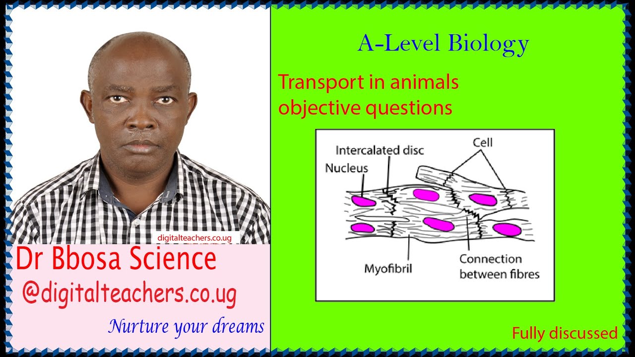 Transport in animals objective questions @ A level