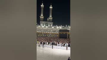 تلاوة عذبة لشيخنا ماهر من صلاة التراويح ليلة ١٧ رمضان ١٤٤٦ه‍. #ماهرالمعيقلي
