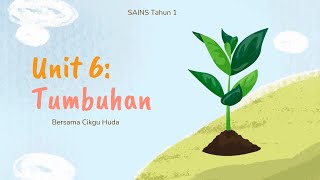 Sains Tahun 1 - Unit 6 :  Kenali Bahagian Tumbuhan