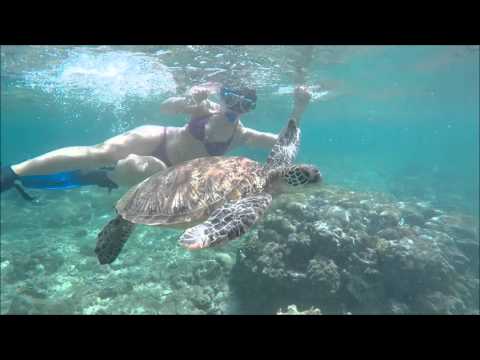 Wideo: Sześć rzeczy do zrobienia w Oslob, Cebu