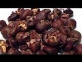 Christmas Roasted Chesnuts How to prepare & cook recipe