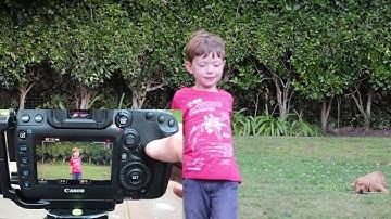 Canon 5D Mark IV Dual-Pixel (AF) Autofocus Demonstration