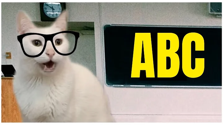 Cats Sing ABC Song  (Alphabet song) | Learn ABCs with Cats