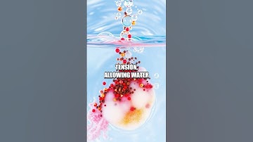 The Floating Soap Experiment