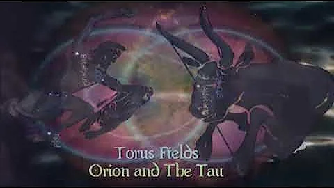 Stellar&The Dreamers-The Torus Wheel-The Aleph & T...