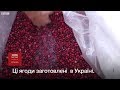 Як українці ходять у Білорусь по ягоди