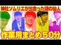 【謎の仙人トーク】作業用まとめ50分