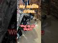 My 2024 Harley Davidson