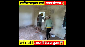 Experiment 452➡️ Snake Rescue Part-1) साप कहां फरार हो गया #shorts