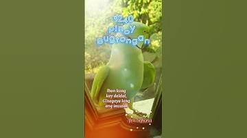 Pinoy Bugtongan *240 #shortvideo #bugtongbugtong #bugtongchallenge #bugtong