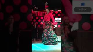 Barcelonada Büyüleyici Flamenko Gösterisi