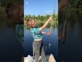 Ловля окуня и щуки на живца