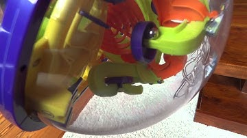 Demonstration de perplexus