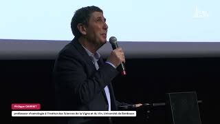 Download Lagu Sauternes et pourriture noble : un champignon au service du goût MP3