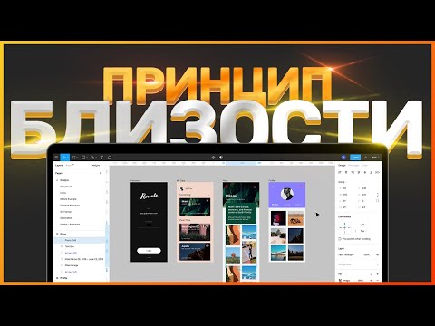 ПРИНЦИП БЛИЗОСТИ В UI ДИЗАЙНЕ  // ОСНОВНЫЕ ПРИНЦИПЫ ДИЗАЙНА // ВЕБ-ДИЗАЙН