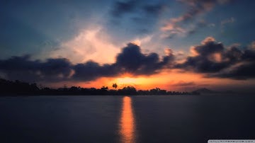 تلاوة تجويدية خاشعة | الشيخ أحمد عامر | مقام الحجاز