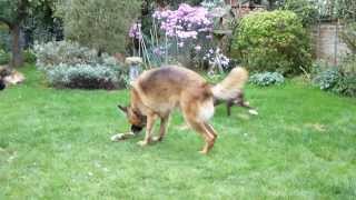 Max With The Big Boys