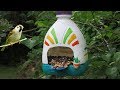 How to make an Adobe Bird House 🐦Bird Feeder Out of a Recycled Plastic Bottle