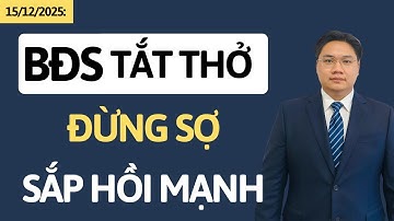 Chứng khoán hôm nay | Nhận định thị trường | Cổ phiếu BĐS giảm mạnh, đừng sợ sắp hồi mạnh