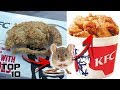 Top 10 Gross Animal Ingredients HIDDEN In Foods This video brought to you courtesy of MostAmazingTop10. Click the link below to watch now!