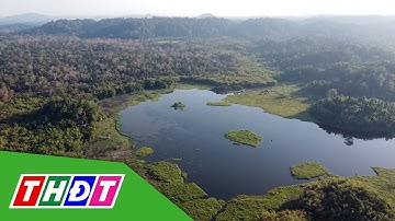 Khám phá thiên nhiên hoang dã Vườn Quốc gia Cát Tiên | THDT