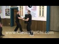 Combat Tai Chi Sticky Hands Vol 3