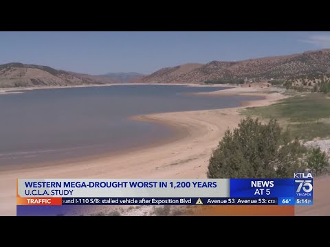 West megadrought hits worst-case scenario, now driest in at least 1,200 years