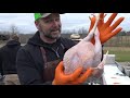 How to butcher chicken at home..the easy way!