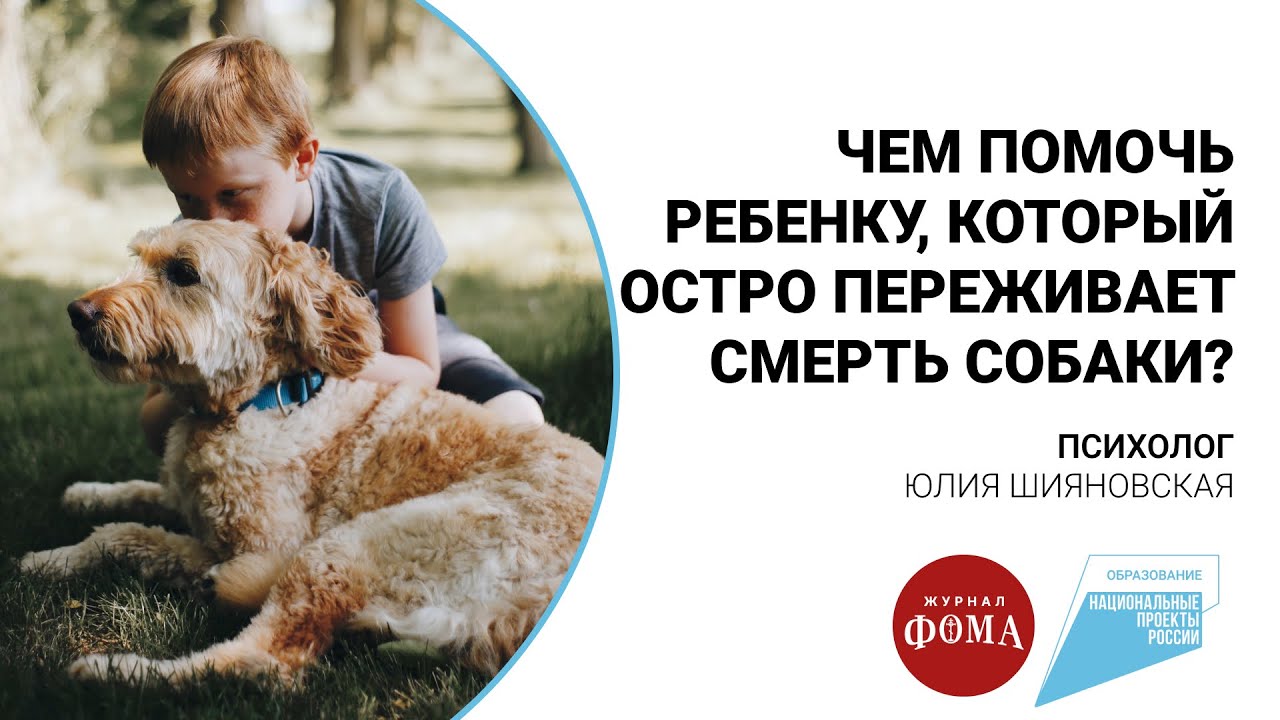Чем помочь ребенку, который остро переживает смерть собаки? - Православный  журнал «Фома»