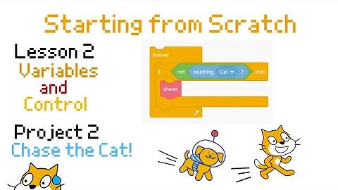 Starting from Scratch - Lesson 2: Variables and Control