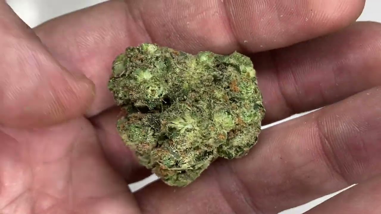 Verano Gelato Review